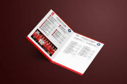 SV Fellbach Volleyball Spieltagsblatt